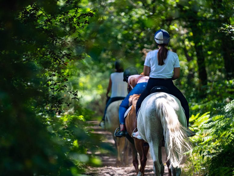 Balade à cheval en forêt © Villetorte Loisirs